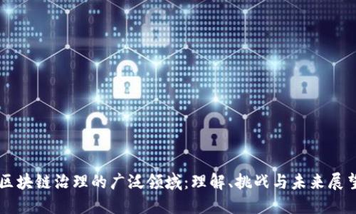 区块链治理的广泛领域：理解、挑战与未来展望